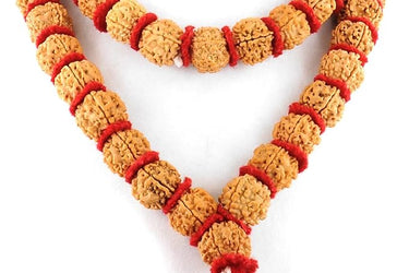 5 Mukhi Rudraksha Mala for Men/Women Wearing (15mm, Big Size Rudraksh Beads