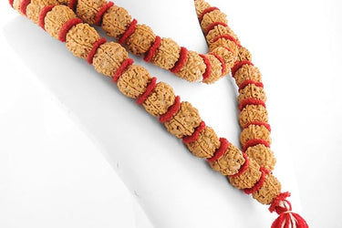 5 Mukhi Rudraksha Mala for Men/Women Wearing (15mm, Big Size Rudraksh Beads