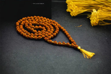 Brown Rudraksha Mala - 108+1 Beads