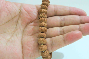 9 Mukhi Rudraksha Bracelet (Indonesian Origin)