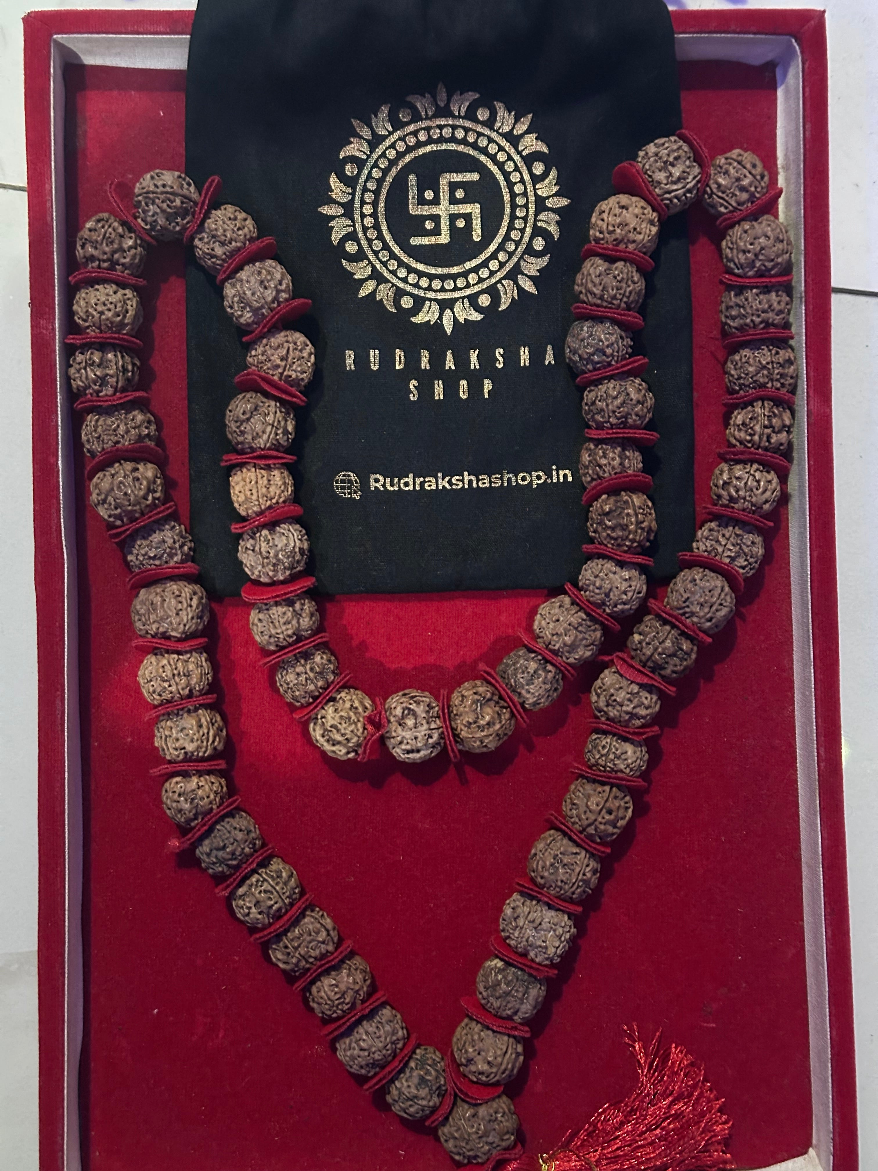 Mukhi Rudraksha Mala for Men/Women Wearing (15mm, Big Size