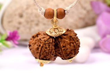 Natural Gaurishankar Rudraksha (Nepal Origin)