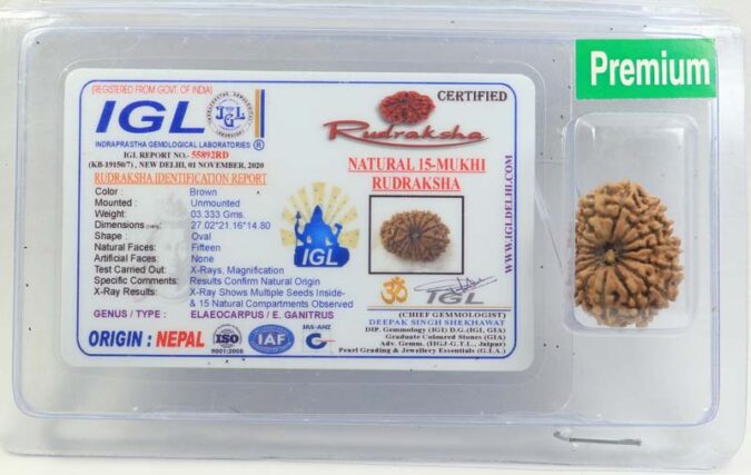 15 MUKHI RUDRAKSHA NEPAL