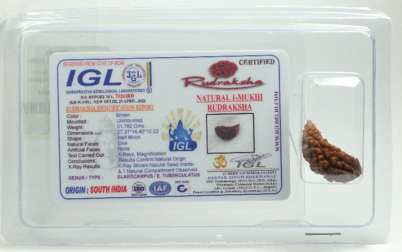 1 MUKHI RUDRAKSHA CERTIFIED