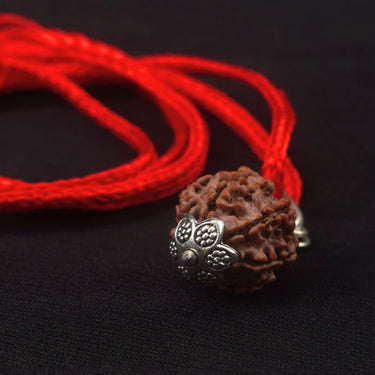 7 MUKHI CERTIFIED RUDRAKSH NEPAL