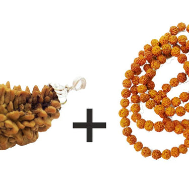 1 Mukhi Rudraksha Mala