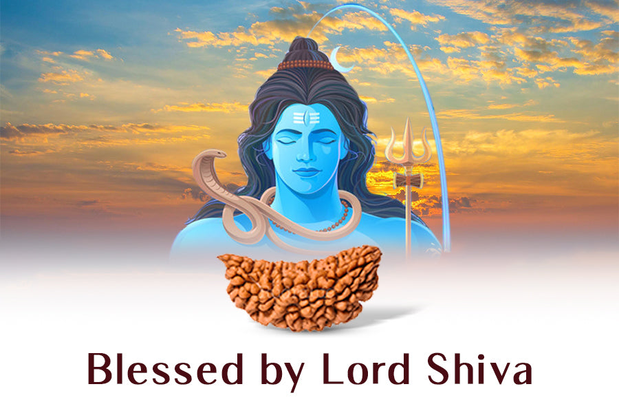 1 MUKHI RUDRAKSHA CERTIFIED