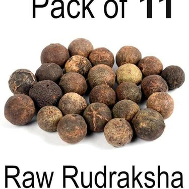 Original Raw Nepal Rudraksha Sacred Fruit-Tears of Lord Shiva for Offer