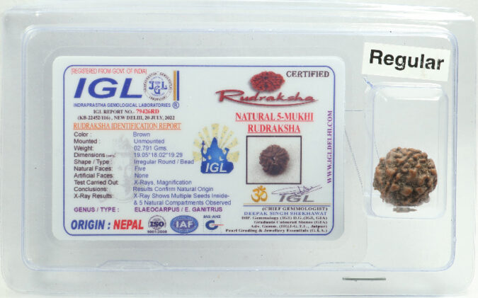 5 MUKHI CERTIFIED RUDRAKSHA NEPAL
