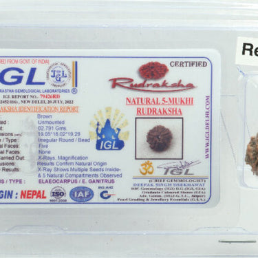 5 MUKHI CERTIFIED RUDRAKSHA NEPAL