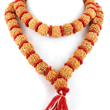 5 Mukhi Rudraksha Mala for Men/Women Wearing (15mm, Big Size Rudraksh Beads