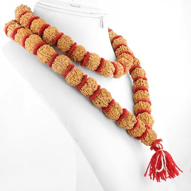 5 Mukhi Rudraksha Mala for Men/Women Wearing (15mm, Big Size Rudraksh Beads