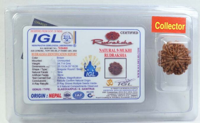 9 MUKHI CERTIFIED RUDRAKSHA (NEPAL ORIGIN)