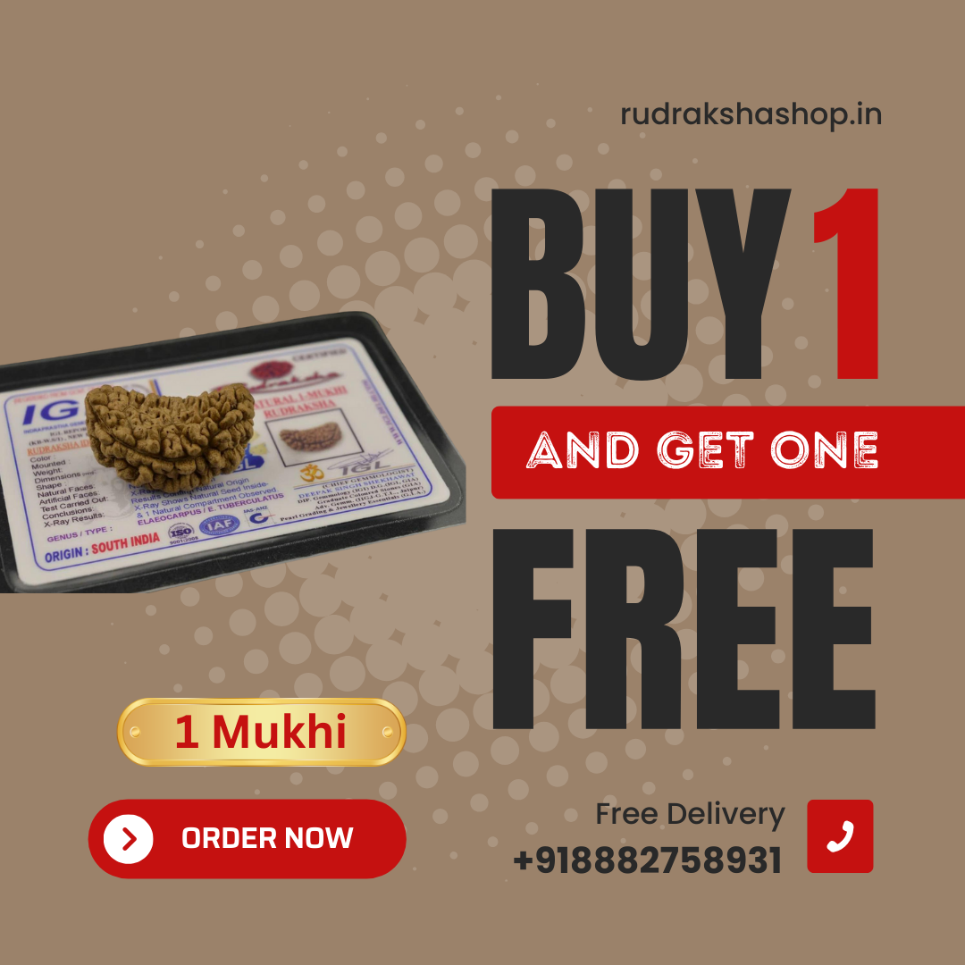 1 MUKHI RUDRAKSHA CERTIFIED