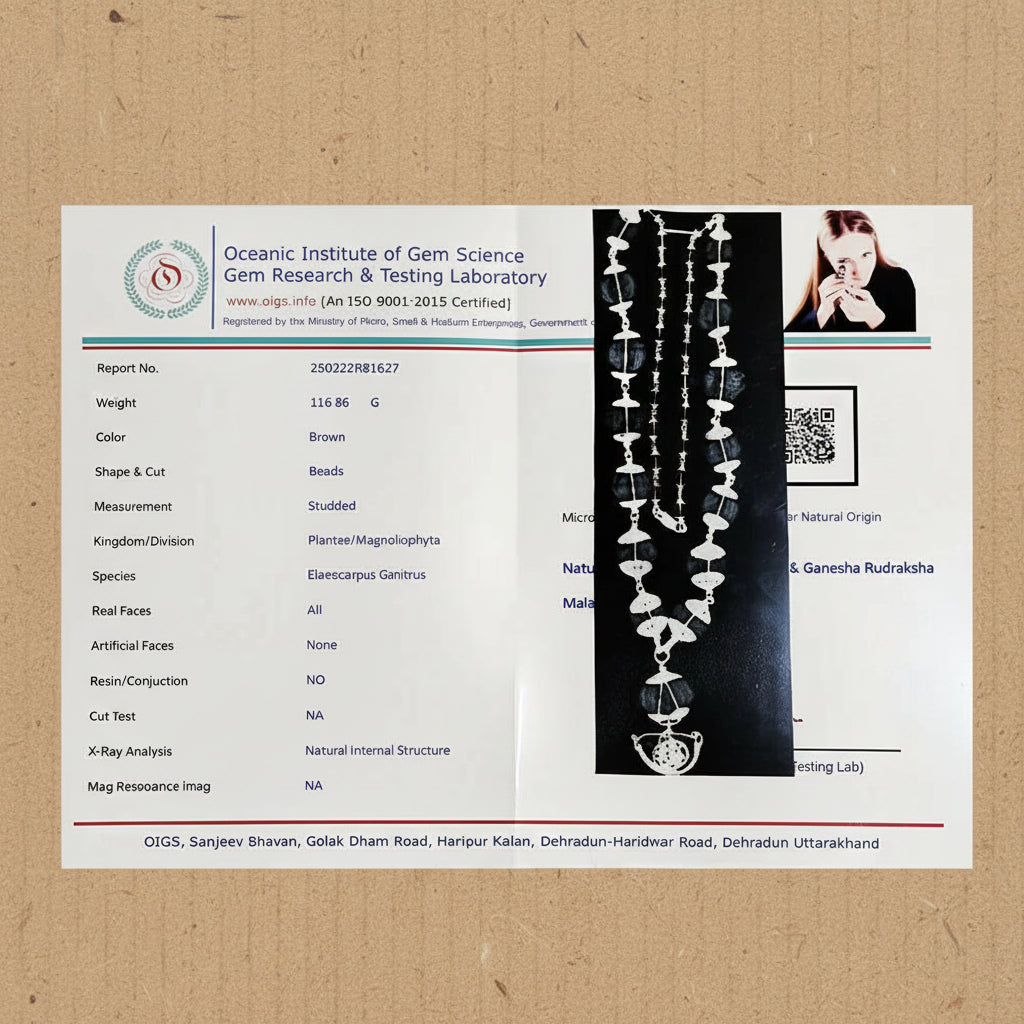 1–14 Mukhi Rudraksha Mala – Nepal Origin | With Ganesh Mukhi & Gaurishankar