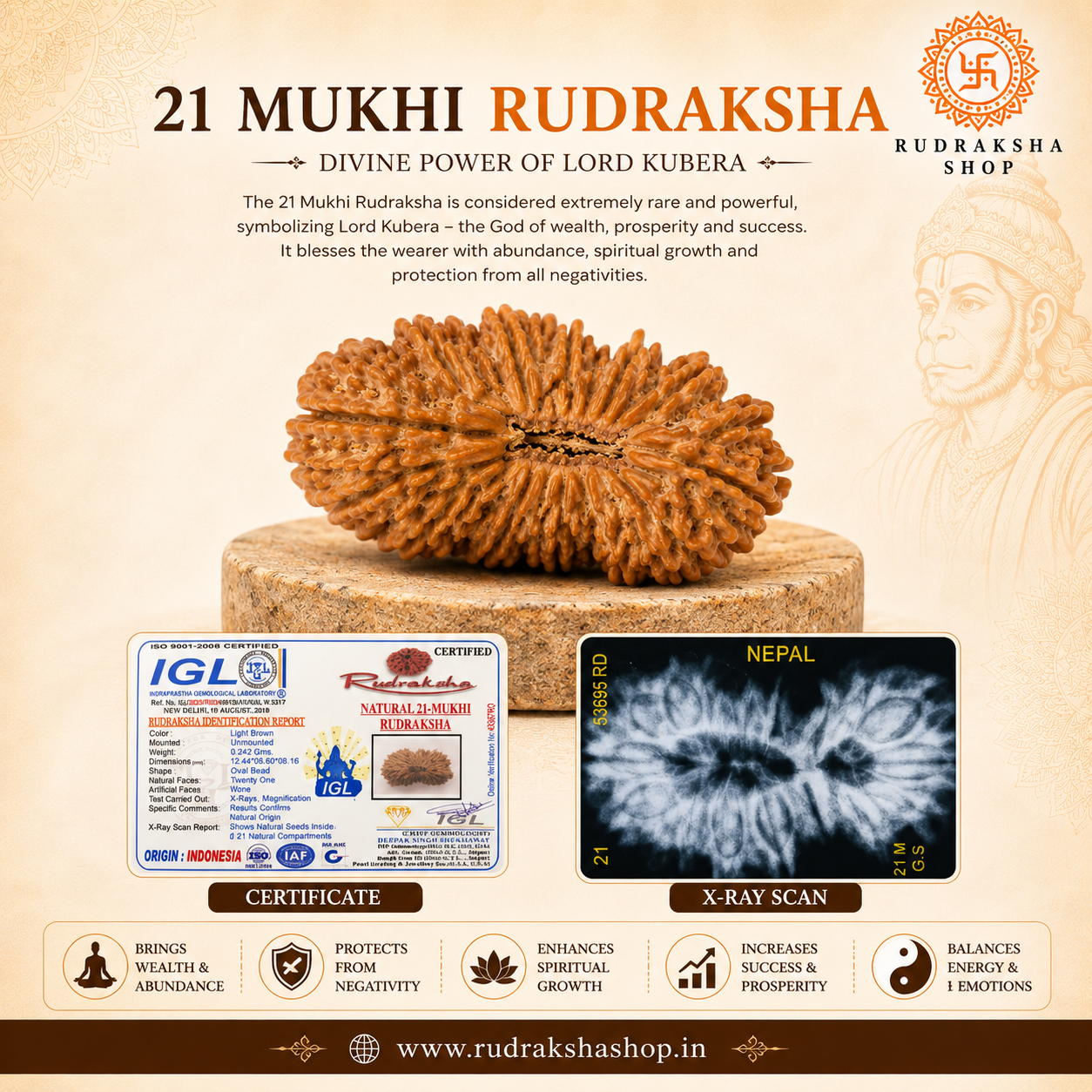 21 Mukhi Nepali Rudraksha Certified Original – Kuber Rudraksha for Wealth & Prosperity | Rudraksha Shop