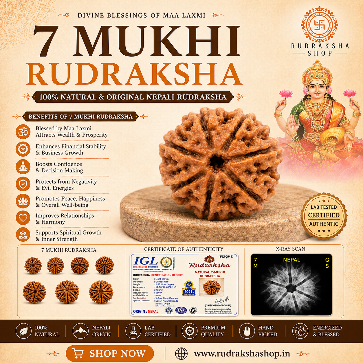 7 MUKHI CERTIFIED RUDRAKSH NEPAL