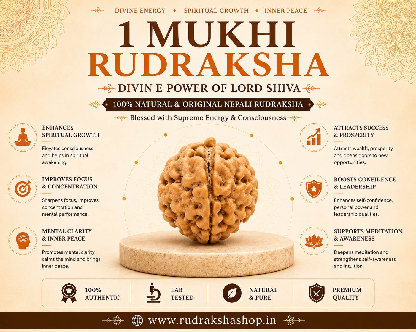 1 MUKHI RUDRAKSHA (NEPALI)