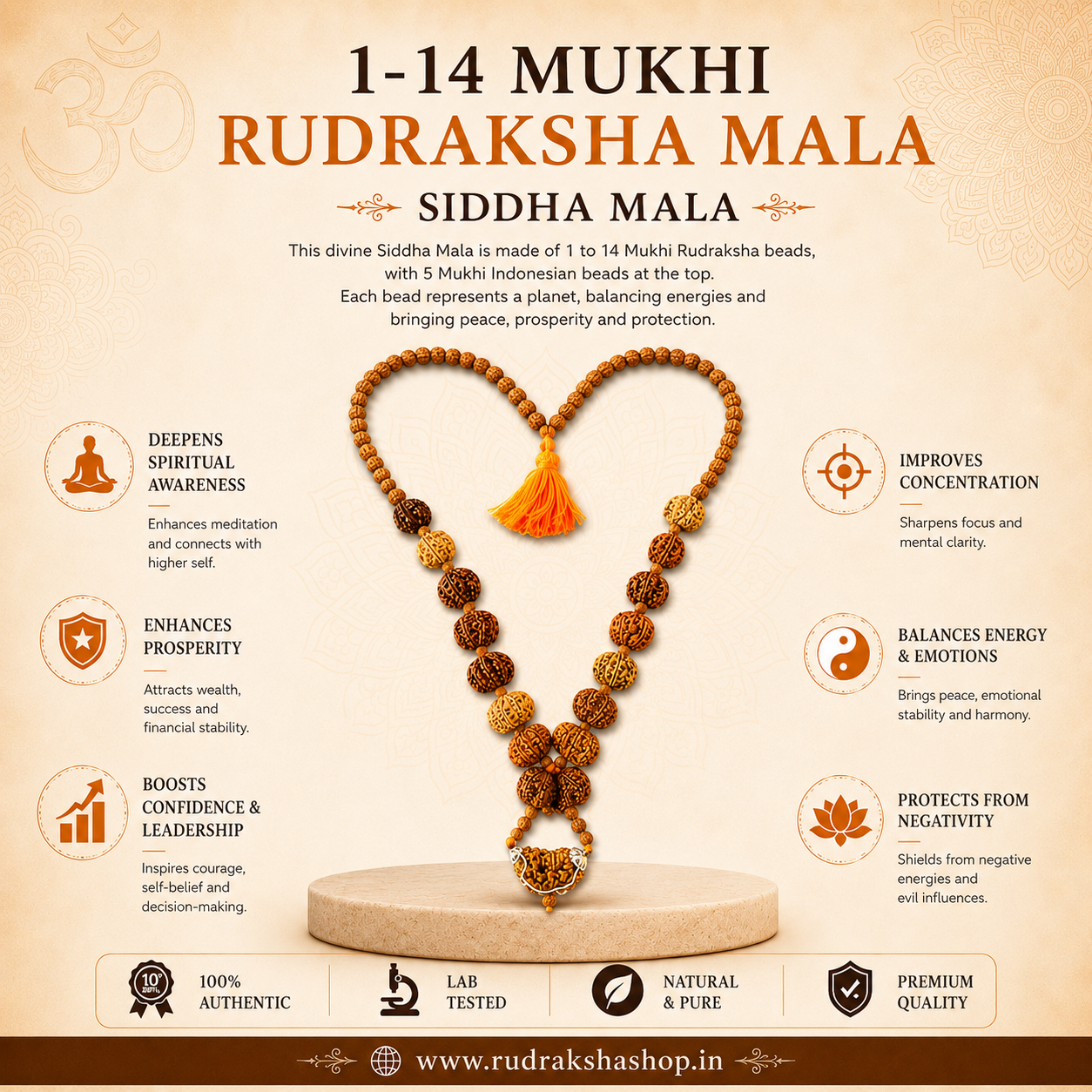 1 - 14 Mukhi Rudraksha Mala ( In Thread)