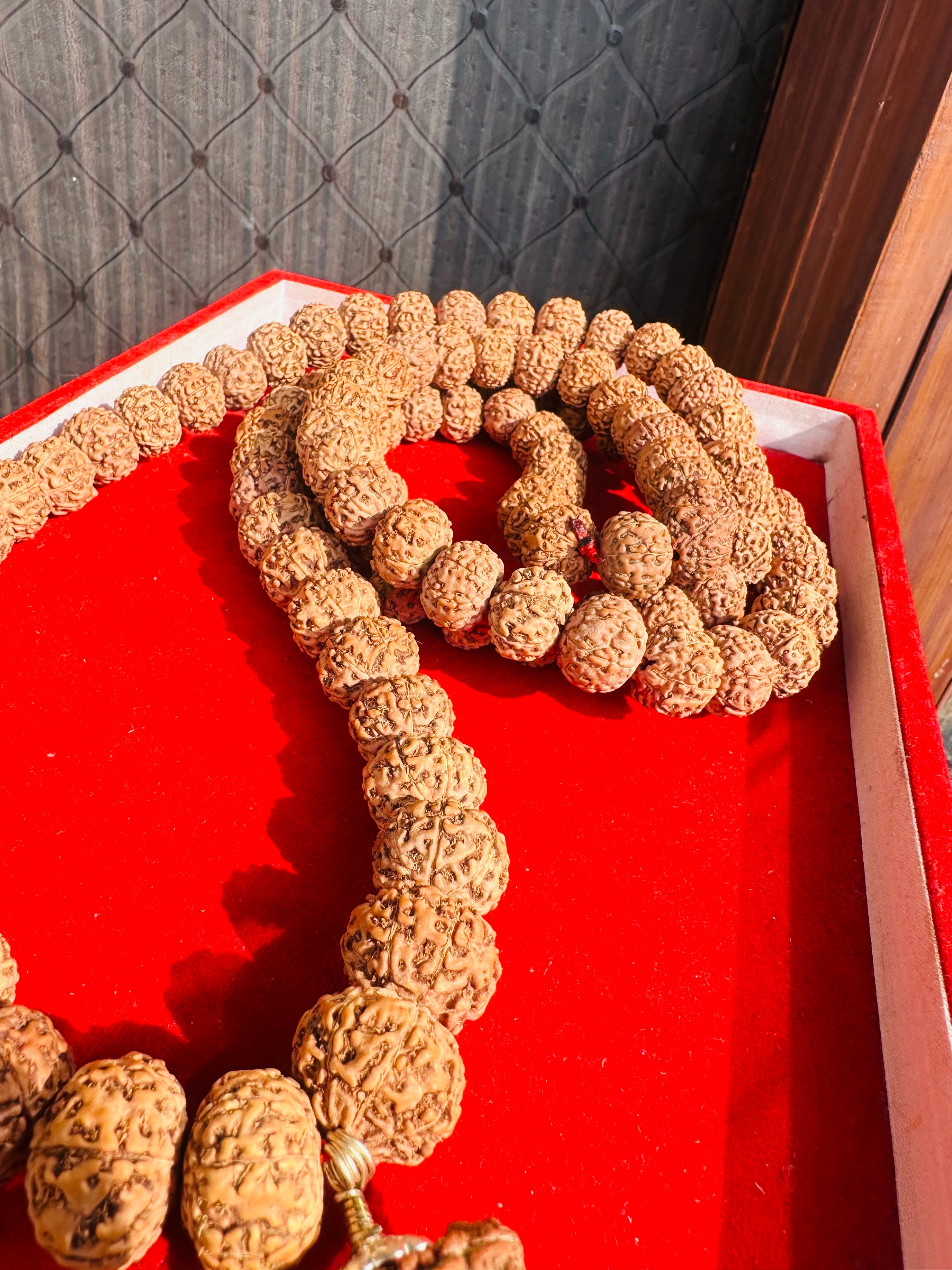 7 Mukhi 108 Beads Big Size Indonesian Rudraksha Mala + 1 Mukhi Kaju Rudraksha