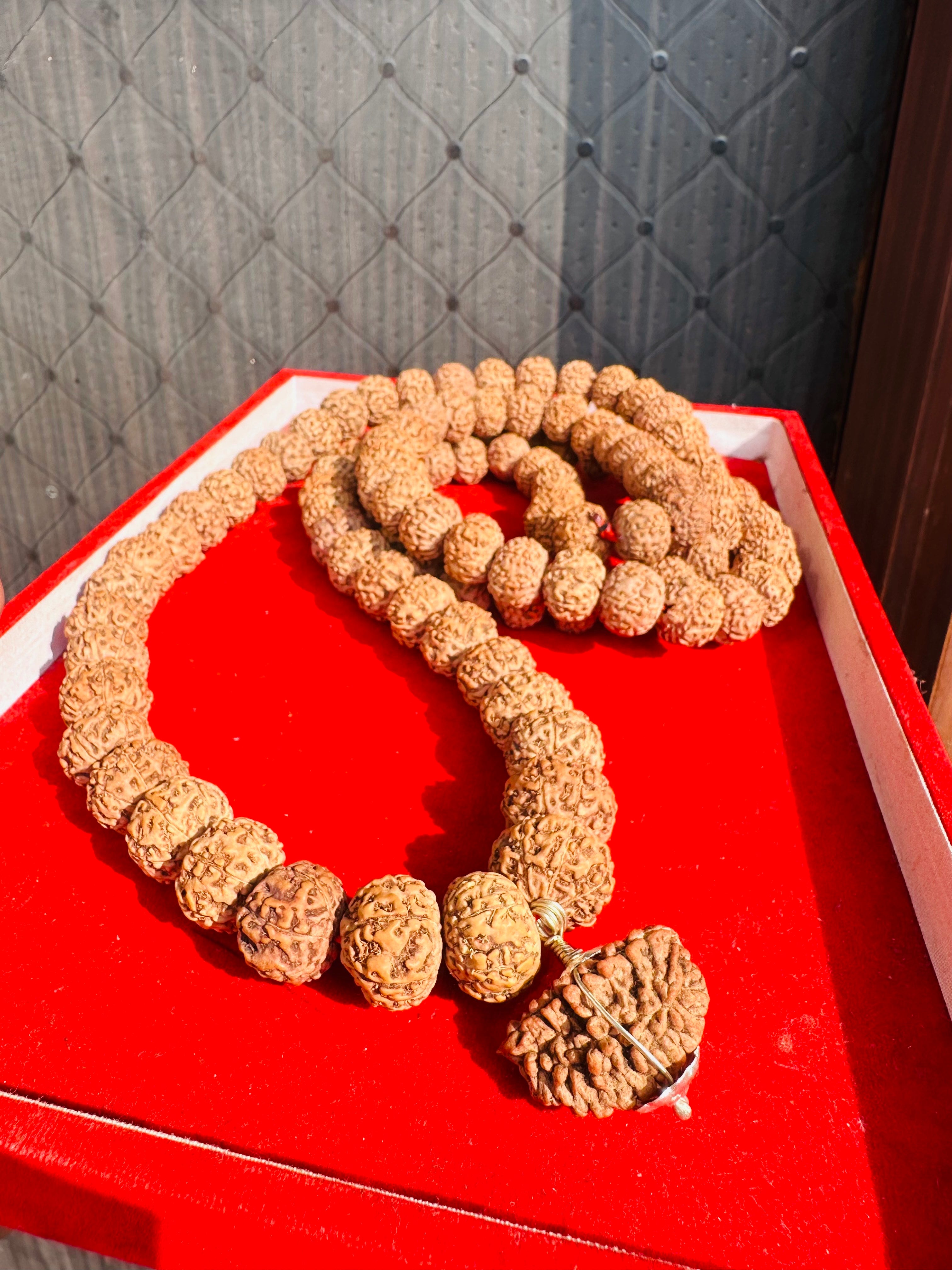7 Mukhi 108 Beads Big Size Indonesian Rudraksha Mala + 1 Mukhi Kaju Rudraksha