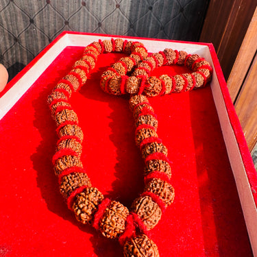 7 Mukhi Rudraksha Mala – 54 Beads (Nepali Origin)