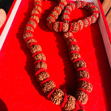 7 Mukhi Rudraksha Mala – 54 Beads (Nepali Origin)