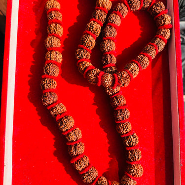 7 Mukhi Rudraksha Mala – 54 Beads (Nepali Origin)