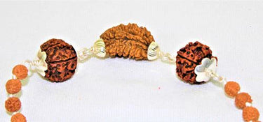 1 Mukhi Rudraksha Kawach