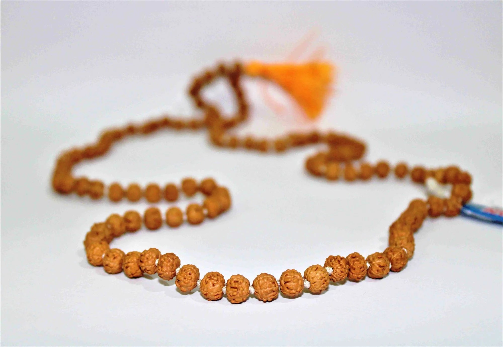 Buy Certified Original Rudraksha Mala 2 to 10 Mukhi (108+1)