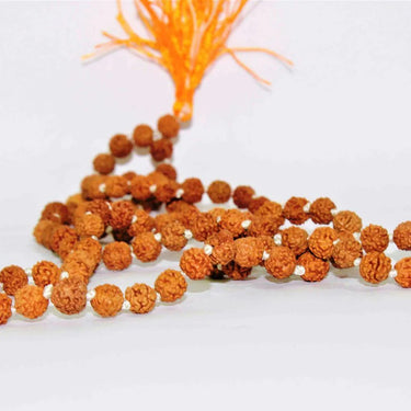 Buy Certified Original Rudraksha Mala 2 to 10 Mukhi (108+1)