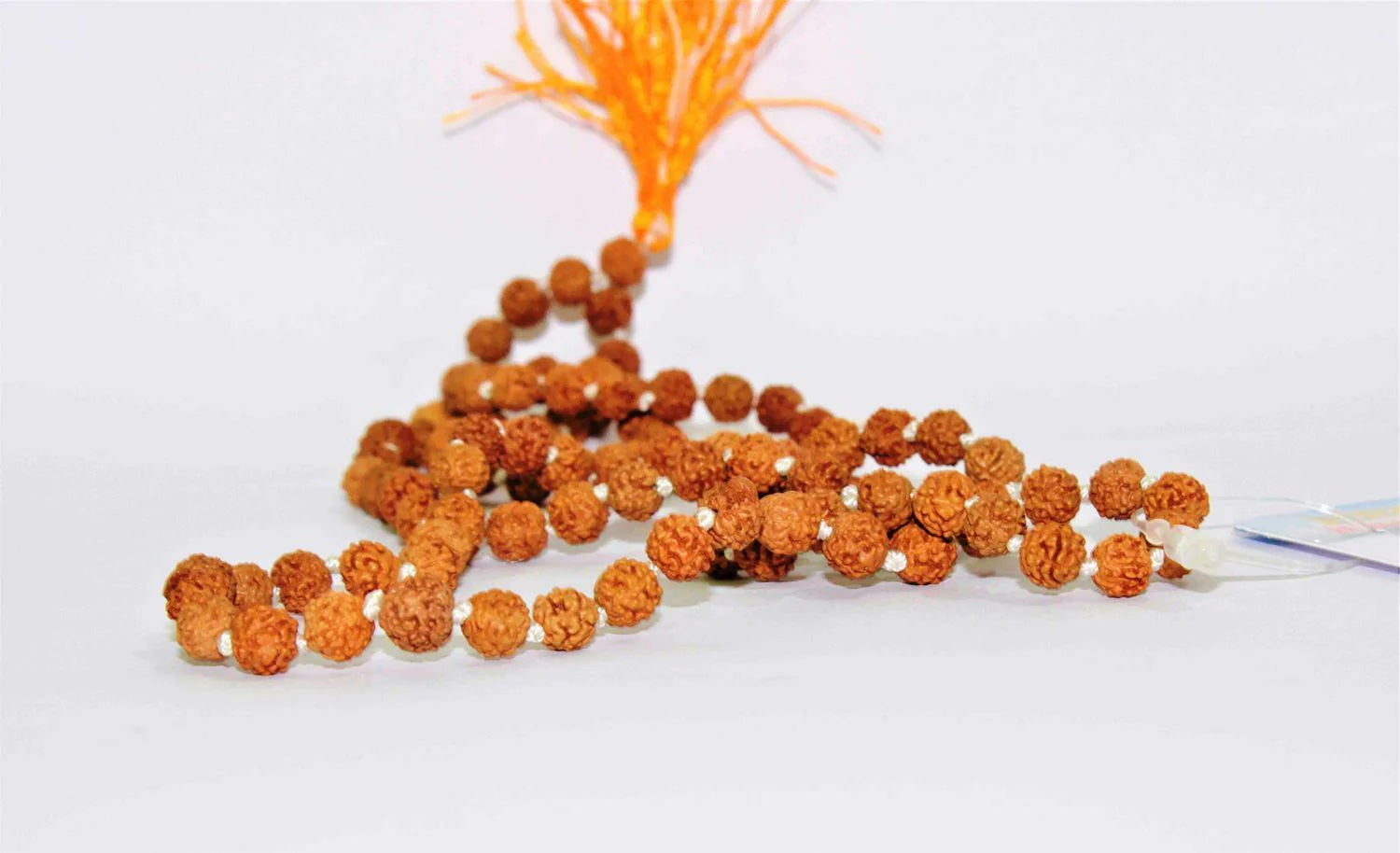 Buy Certified Original Rudraksha Mala 2 to 10 Mukhi (108+1)