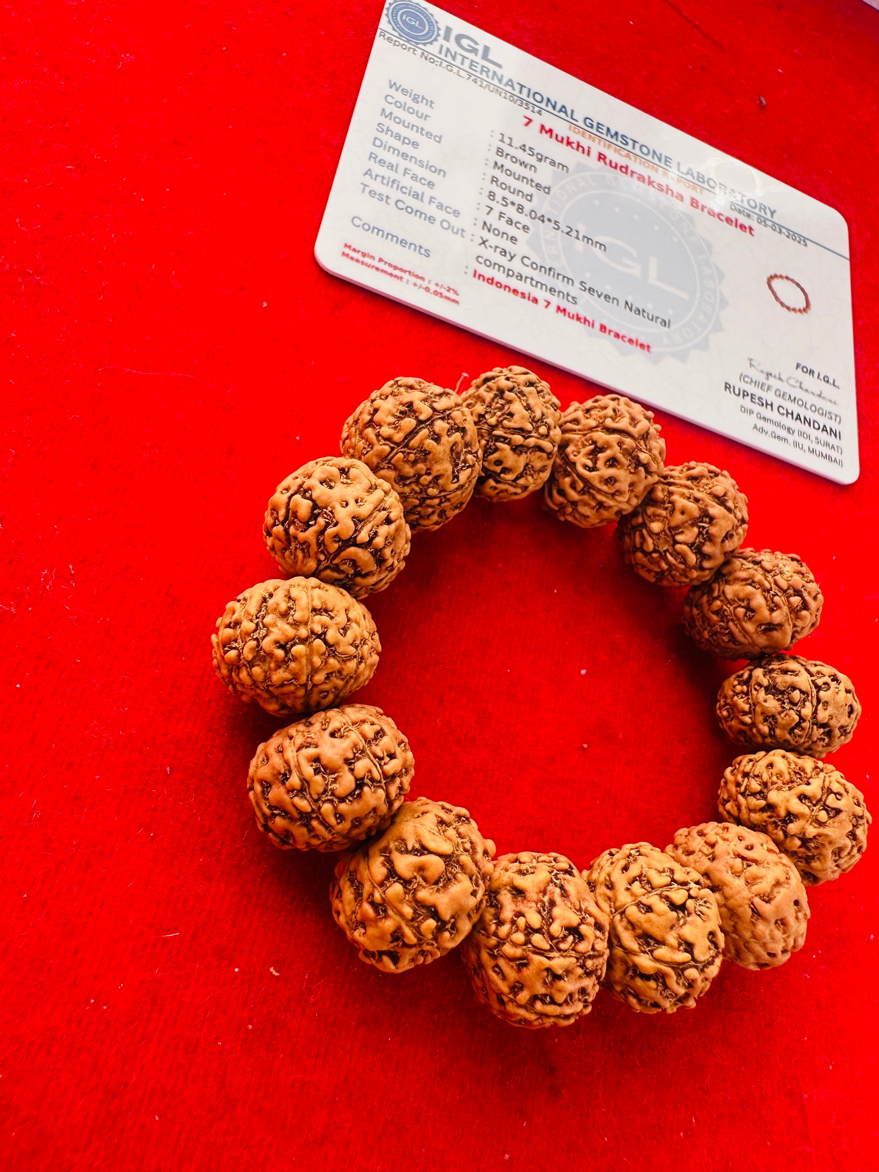 7 Mukhi Rudraksha Bracelet (Indonesian) – Wealth, Luck & Prosperity