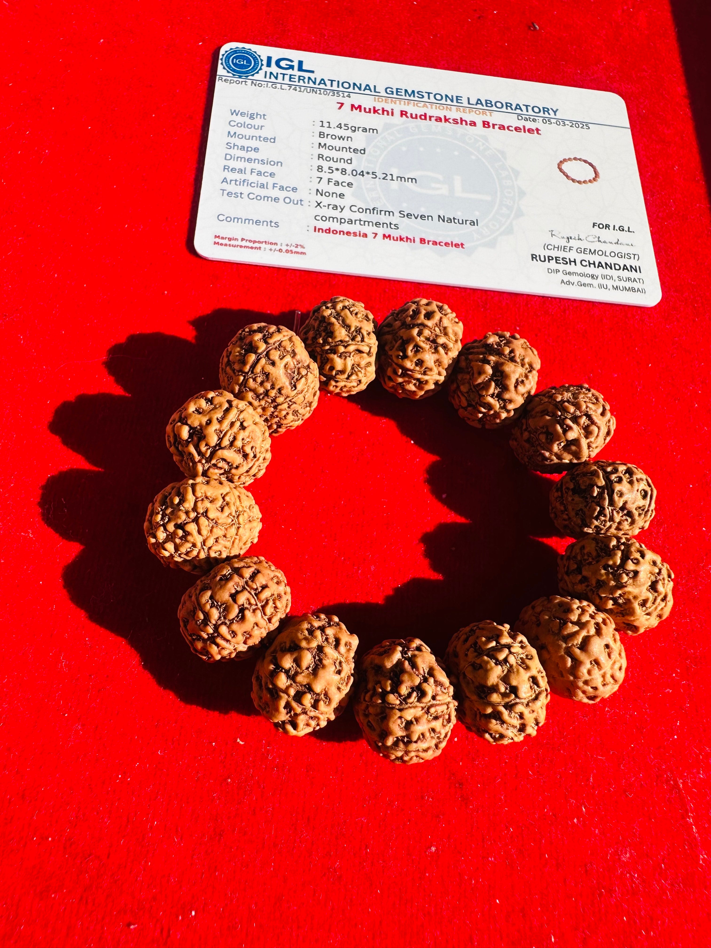 7 Mukhi Rudraksha Bracelet (Indonesian) – Wealth, Luck & Prosperity