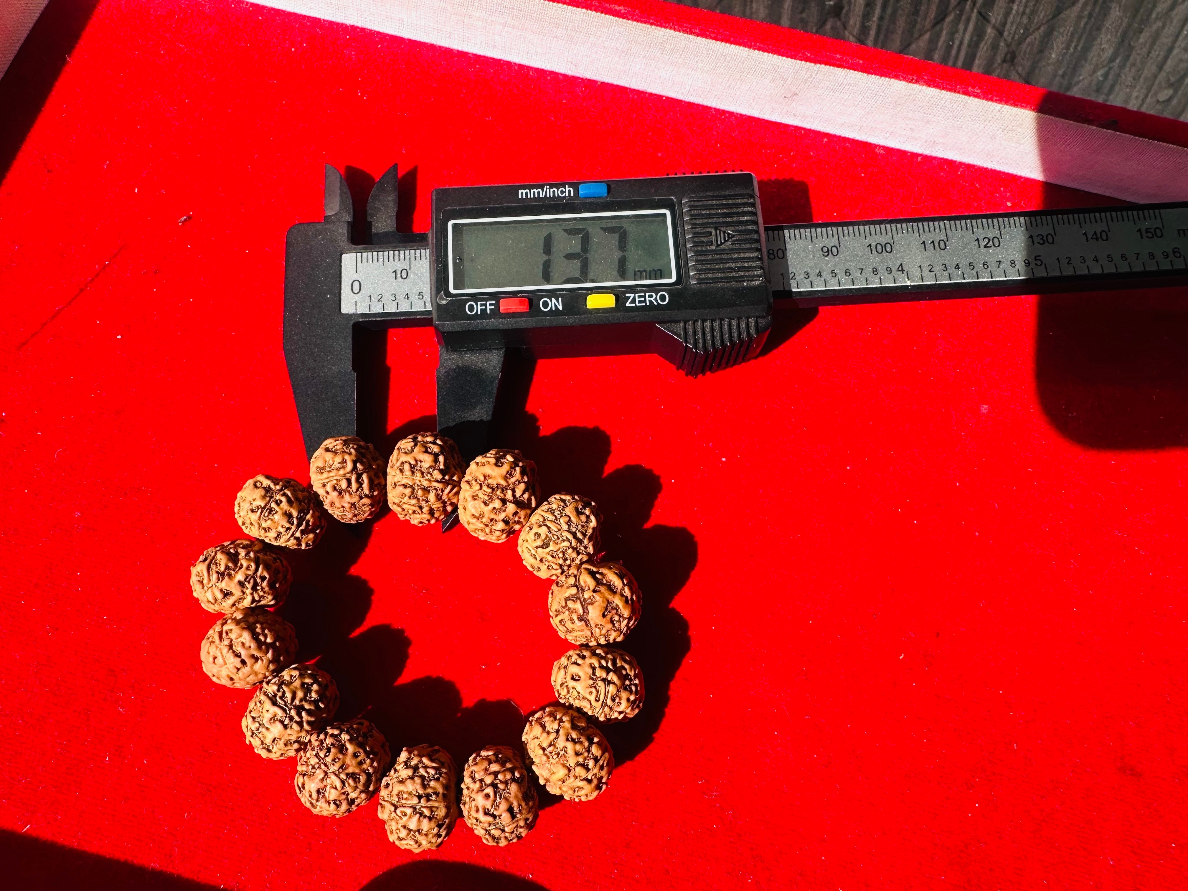 7 Mukhi Rudraksha Bracelet (Indonesian) – Wealth, Luck & Prosperity