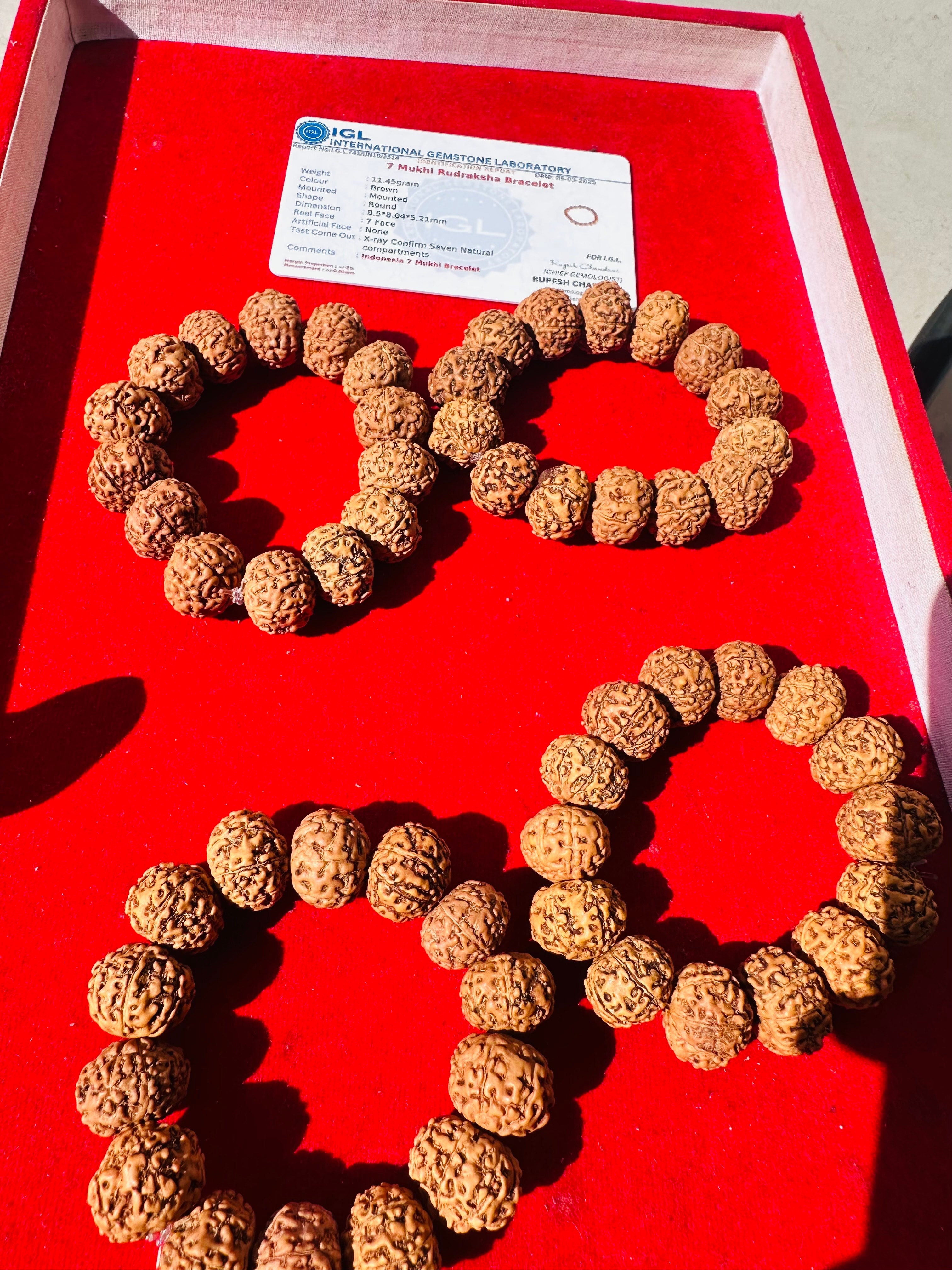 7 Mukhi Rudraksha Bracelet (Indonesian) – Wealth, Luck & Prosperity