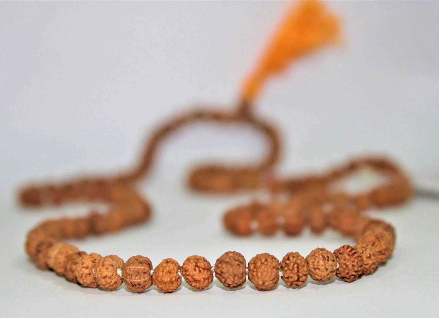 Buy Certified Original Rudraksha Mala 2 to 10 Mukhi (108+1)