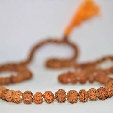 Natural 7 Mukhi Rudraksh Mala (Indonesian Origin)