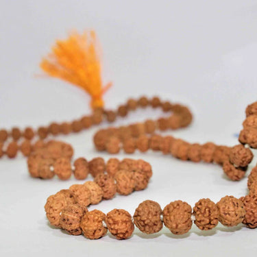 Natural 7 Mukhi Rudraksh Mala (Indonesian Origin)