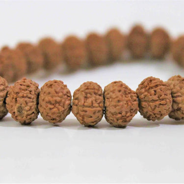 9 Mukhi Rudraksha Bracelet (Indonesian Origin)