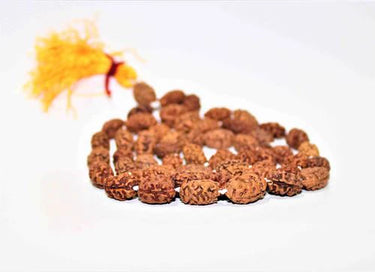 Buy Certified Original Rudraksha Mala 2 to 10 Mukhi (108+1)