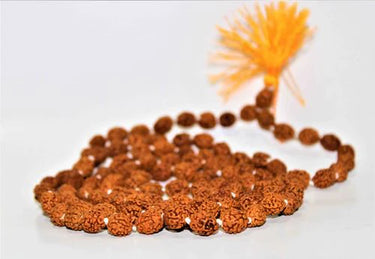 Buy Certified Original Rudraksha Mala 2 to 10 Mukhi (108+1)