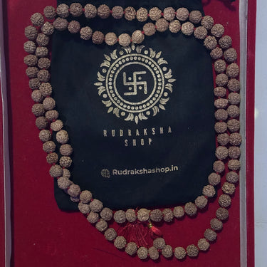 Maalavya Wood Rudraksha 5 Mukhi 108+1 Beads Mala (7 mm, Brown)