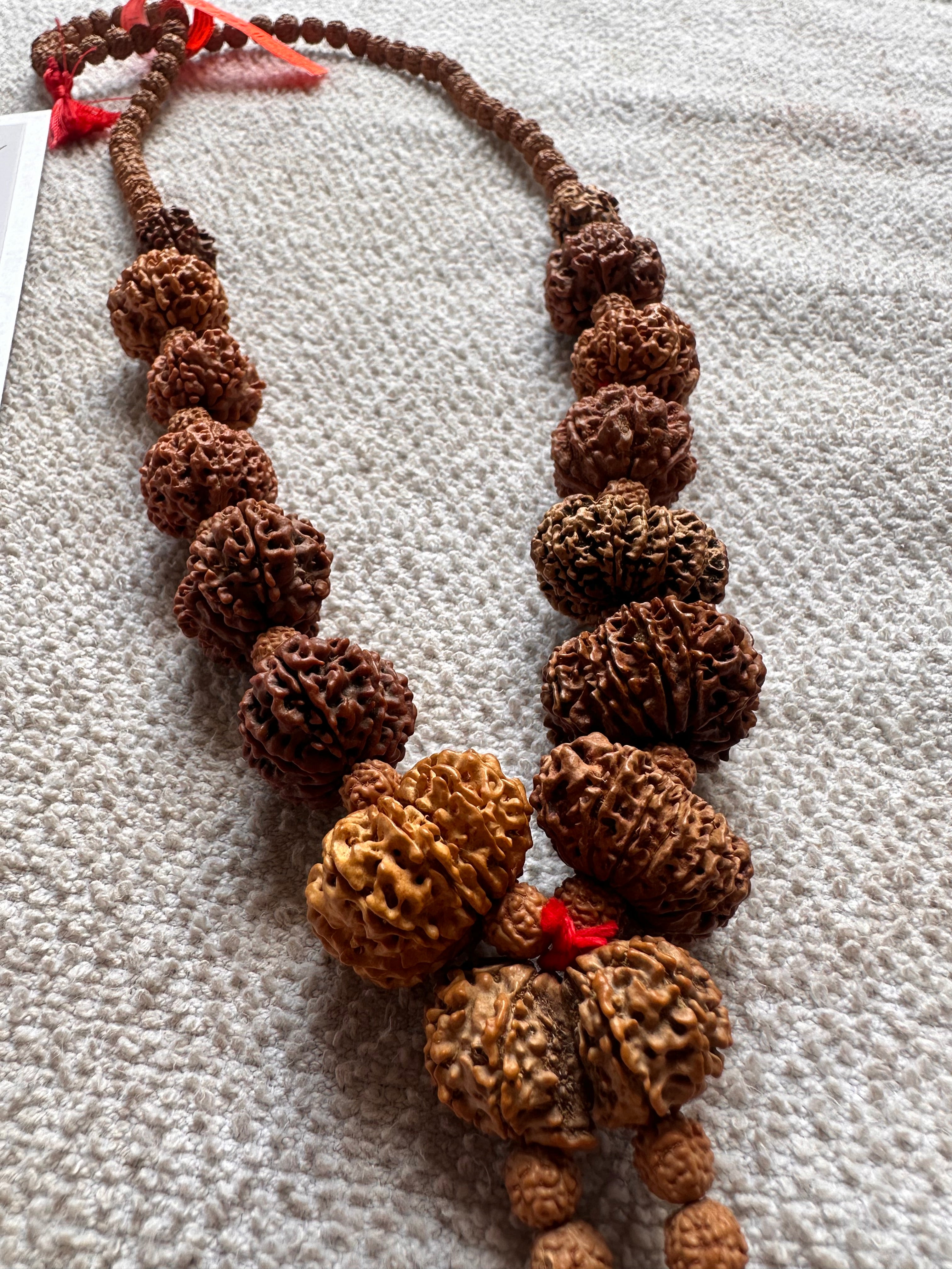 1–14 Mukhi Nepal Rudraksha Mala with Ganesh & Gauri Shankar