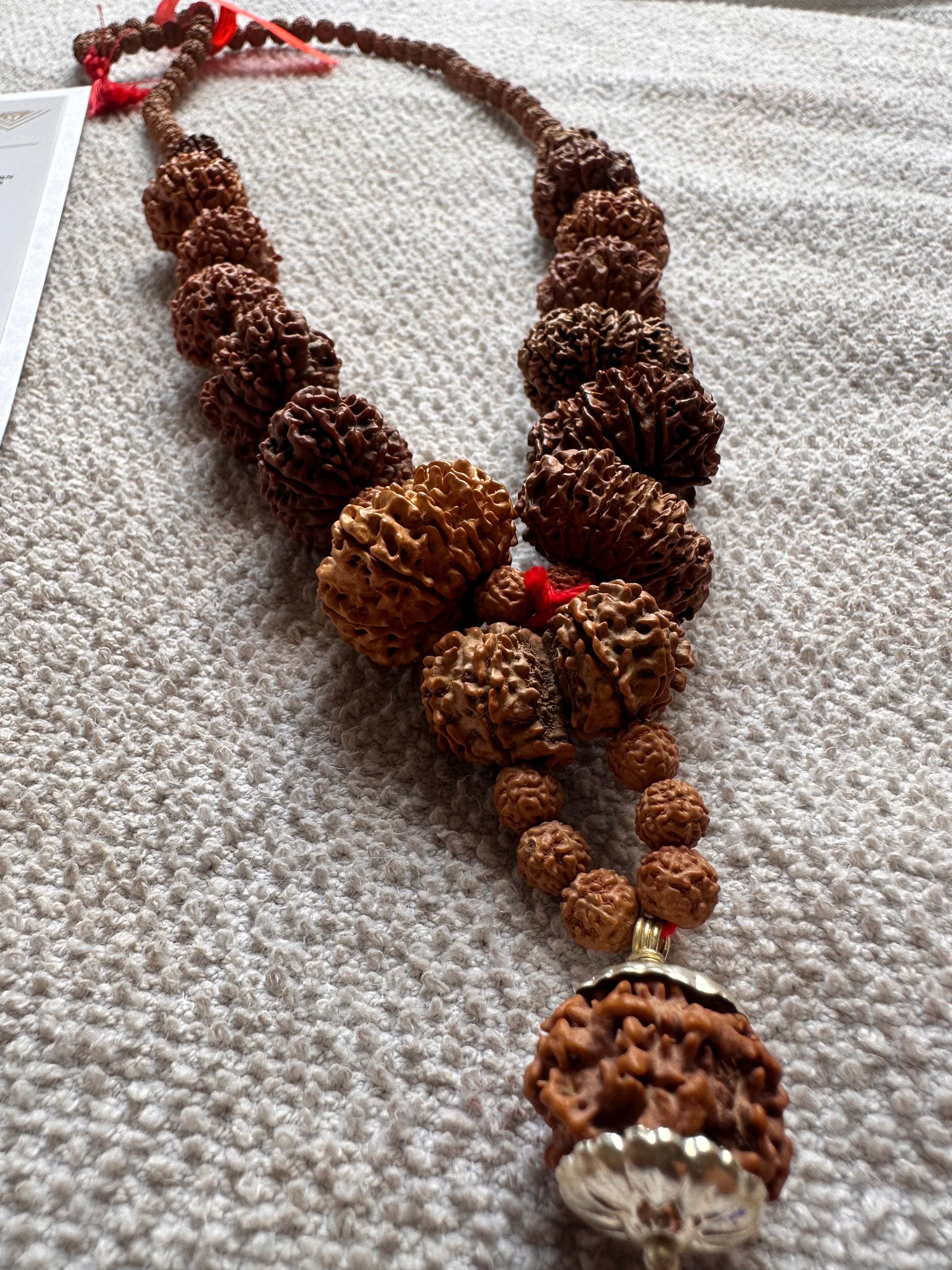 1–14 Mukhi Nepal Rudraksha Mala with Ganesh & Gauri Shankar