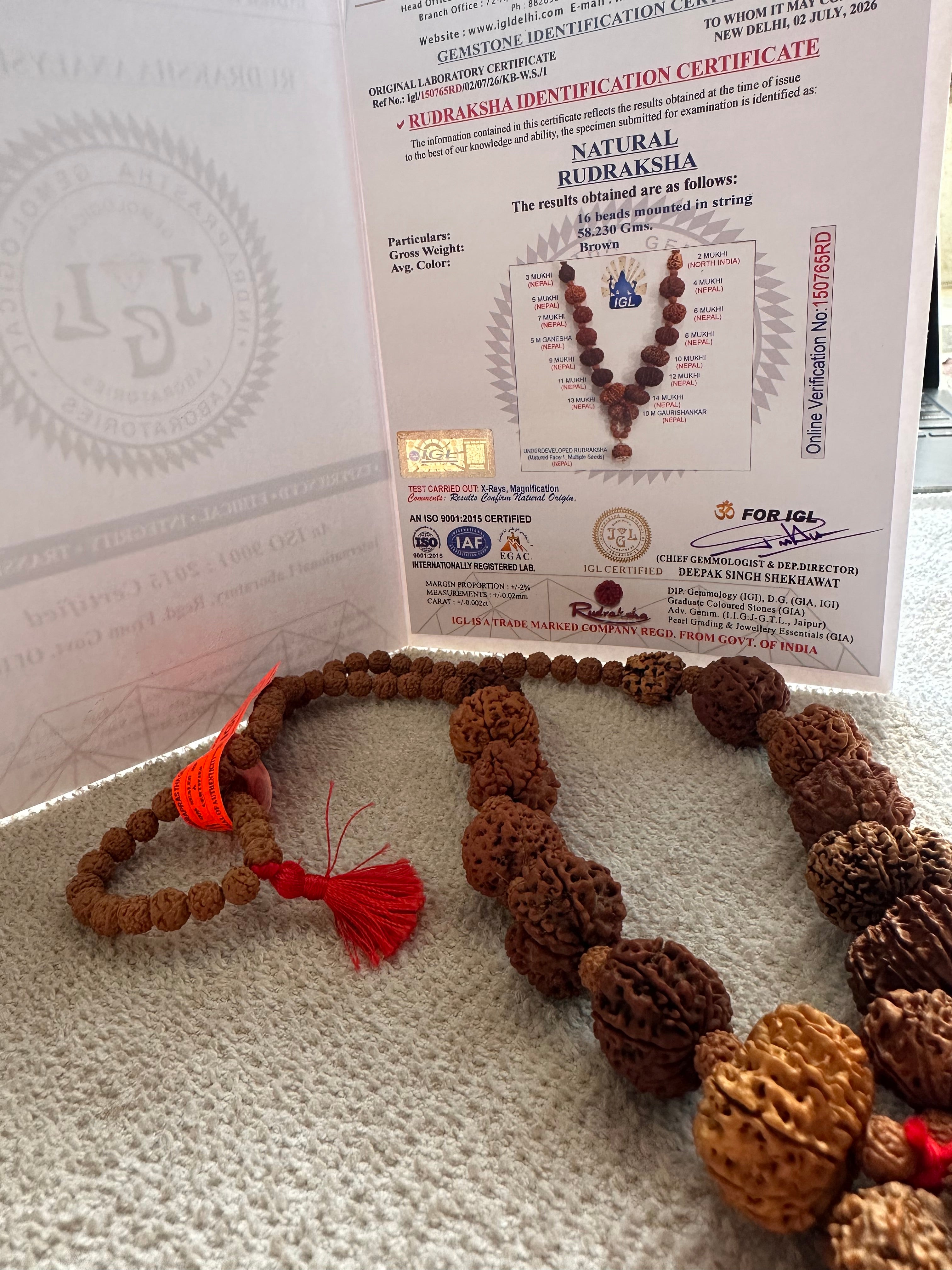 1–14 Mukhi Nepal Rudraksha Mala with Ganesh & Gauri Shankar