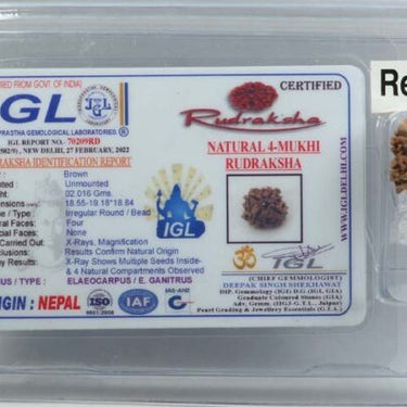 4 MUKHI CERTIFIED RUDRAKSHA NEPAL