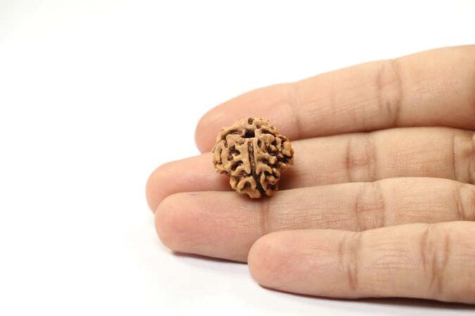 4 MUKHI CERTIFIED RUDRAKSHA NEPAL