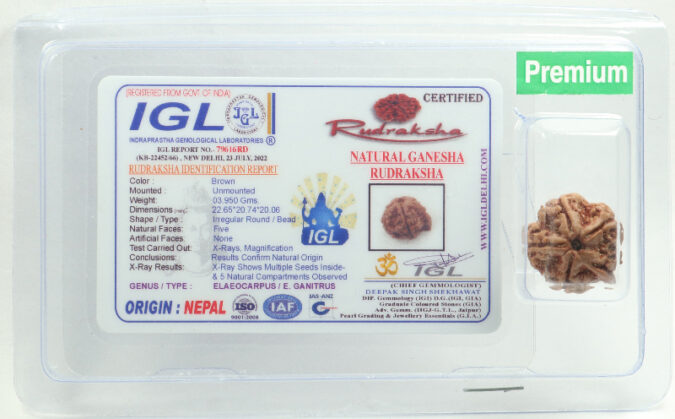 ganesh rudraksha