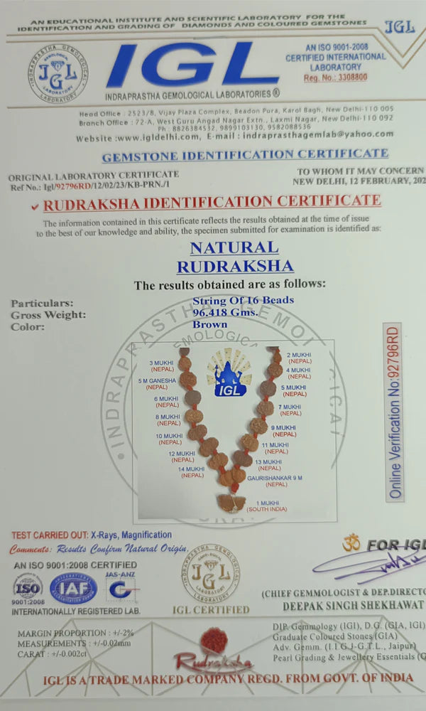 1 - 14 Mukhi Rudraksha Mala(Combination mala)